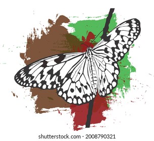 Vector Illustration of Rice Paper Butterfly 