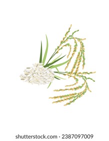 Vector illustration of rice plant and grain stock illustration