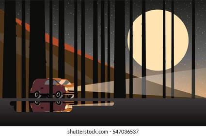 Vector illustration of riding a car through the woods at night