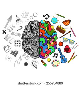 Vector illustration. Right and left  hemispheres of brain. Analytical and creative parts of them