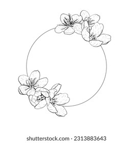 Composición del cuadro del anillo de la ilustración del vector con flores de cerezo, sakura, manzana, ciruela, ciruela de cerezo silvestre, cereza de ave, pera. Contorsión negra realista, dibujo gráfico. Para tarjetas, logotipo, fotos, pegatinas