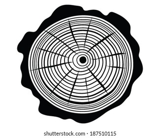 Vector illustration of rings of trunk 