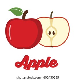 Vector illustration of ripe apple cut in half on a white background.