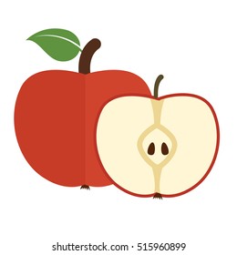 Vector illustration of ripe apple fruit and apple slices on a white background