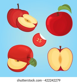 Vector illustration of ripe apple  slices. collection red fruit slice. 