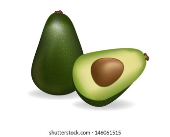 vector illustration. ripe avocado on white background 