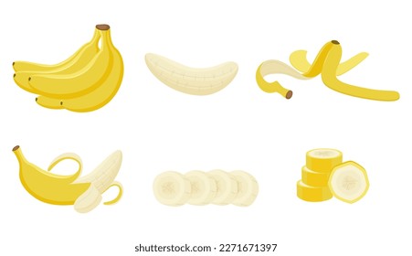 Vector illustration of ripe bananas isolated on white background. Bundle, pieces, peel, peeled banana.