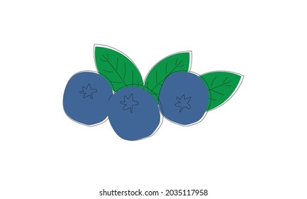 Vector illustration of ripe blueberries with green leaves on a white background. Berries icon for farm market menu. Ecological design of healthy food