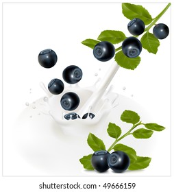 Vector illustration. Ripe blueberry falling into the milky splash.