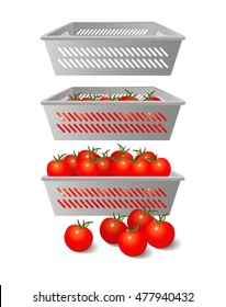 Vector Illustration. Ripe bright tomatoes in containers.