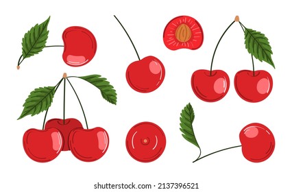 Vector illustration of ripe cherries. Berries with stems and green leaves. Design element for cosmetics, spa, juice, healthcare products, perfumes, for product packaging, menu design or print.