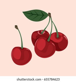 Vector illustration of ripe cherries . Berries with stems and green leaves.