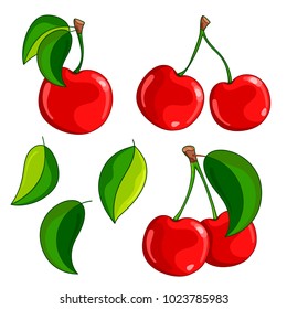 Vector illustration of ripe cherries on a white background. Berries. Green leaves.