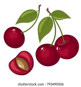 Vector illustration of ripe cherries on a white background. Berries with stems and green leaves.