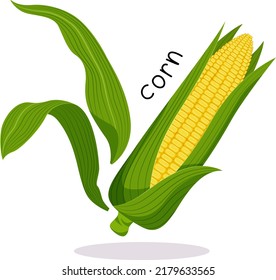 Vector illustration of ripe corn with green leaves and an inscription in a flat style on a white background.