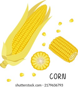 Vector illustration of ripe corn with yellow leaves, half head, individual grains and an inscription in a flat style on a white background.