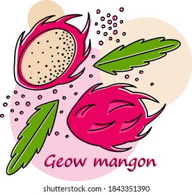 Vector illustration of ripe exotic dragon fruit with a slice. Dragon fruit flat style with leaves for posters, logos, labels, banners, stickers, product packaging designs