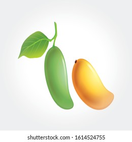 Vector illustration of Ripe fresh mango with slices and leaves