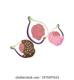 Vector illustration of ripe juicy figs. Halved slices, glazed fig slices, dessert. Fig tree fruit isolated on white background. 