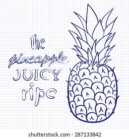 Vector illustration ripe juicy pineapple style doodle art on paper