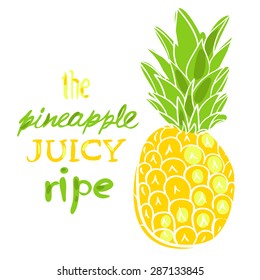 Vector illustration ripe juicy pineapple style doodle art