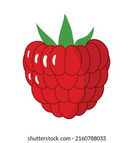 Vector illustration of ripe juicy raspberry with green leaves. Healthy diet summer berries fruits vitamins. Icon sticker design element