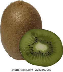 vector illustration of a ripe kiwi fruit along with a slice isolated on white background
