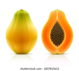 Vector illustration of a ripe papaya.