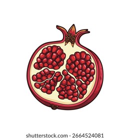 Ilustración vectorial de la sección transversal madura de la fruta de la pasión