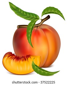 Vector illustration. Ripe peach fruit with green leaves.