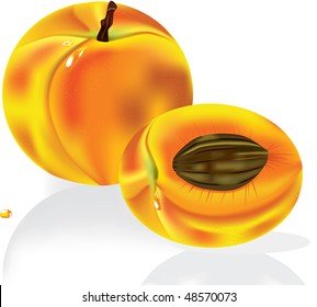  Vector illustration. Ripe peach fruit with water drop