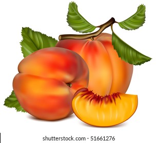 Vector illustration. Ripe peach fruit with green leaves.