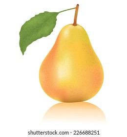 Vector illustration of ripe pear.