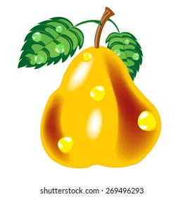 Vector illustration of the ripe pear on white background
