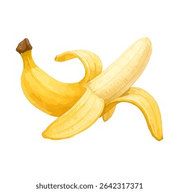 Ilustração vetorial de uma banana descascada madura mostrando o fruto dentro. Perfeito para projetos de alimentos saudáveis, temas de frutas tropicais, visuais de nutrição ou elementos de embalagem