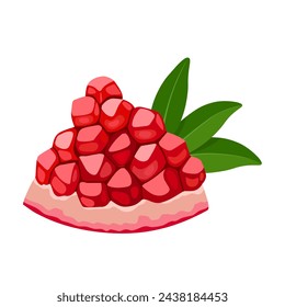 Vector illustration, Ripe pomegranate fruit, scientific name Punica granatum, isolated on white background.