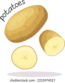 Vector illustration of a ripe potato with halves and slices vegetable and the inscription "potatoes" in a flat style on a white background.