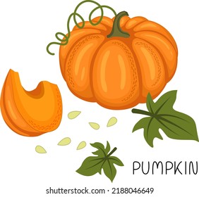 Vector illustration of a ripe pumpkin with leaves, pumpkin slices, seeds and an inscription in a flat style on a white background.