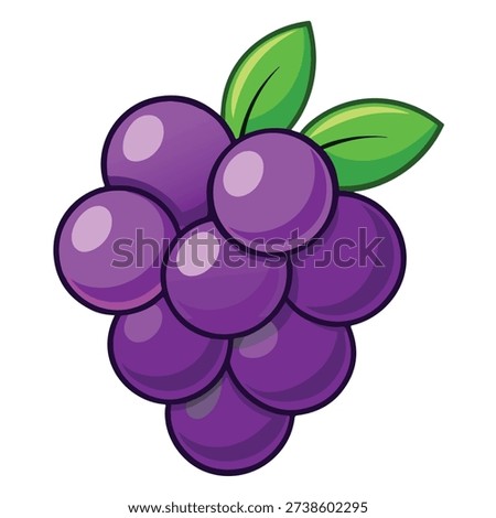 Vector illustration of a ripe purple grape bunch with leaves and vine in a fresh natural design