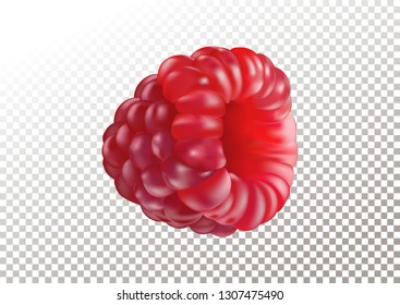 Vector illustration of ripe realistic raspberry on transparent background.