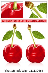 Vektorgrafik von reifen roten Kirschen mit Blättern