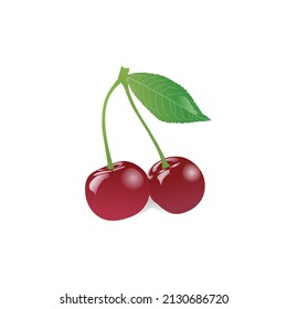 Vector illustration of ripe red cherries