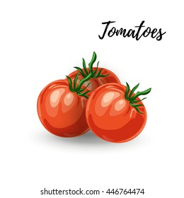 Vector illustration of  ripe red fresh tomato isolated on white background