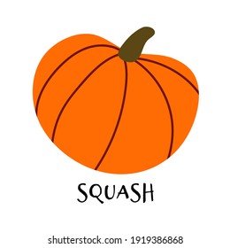 Ilustración vectorial de calabaza madura en estilo plano dibujado a mano.