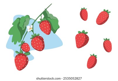 vector illustration of ripe strawberries 