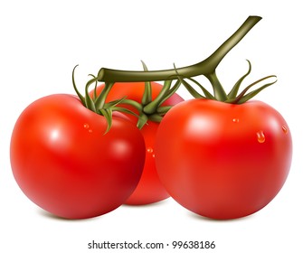 Vector illustration. Ripe tomatoes