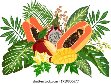 Vector illustration. Ripe tropical fruits, whole and cut into pieces, with beautiful tropical leaves. Papaya, mango, dragon fruit, carambola. Vector illustration design. Vector in cartoon flat style.