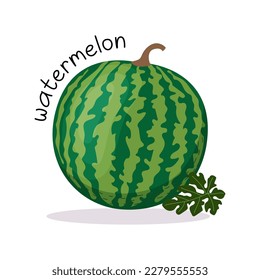 Ilustración vectorial de una sandía madura. Ilustración de frutas de estilo plano aislada en fondo blanco.