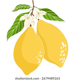 Vector illustration of a ripe yellow lemon fruit with green leaves, simple flat style design, perfect for patterns, packaging, and summer themes.