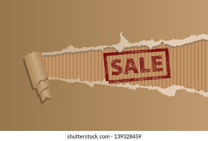 Vector illustration of a ripped cardboard.